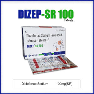 DIZEP-SR 100
